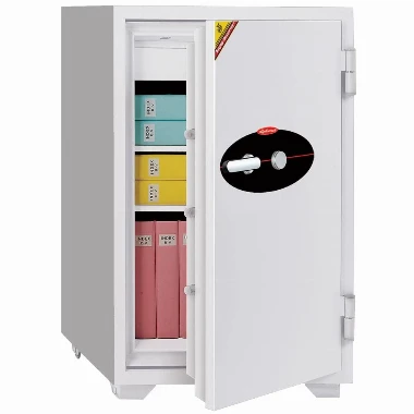 Diplomat, 100 vatrootporni sef